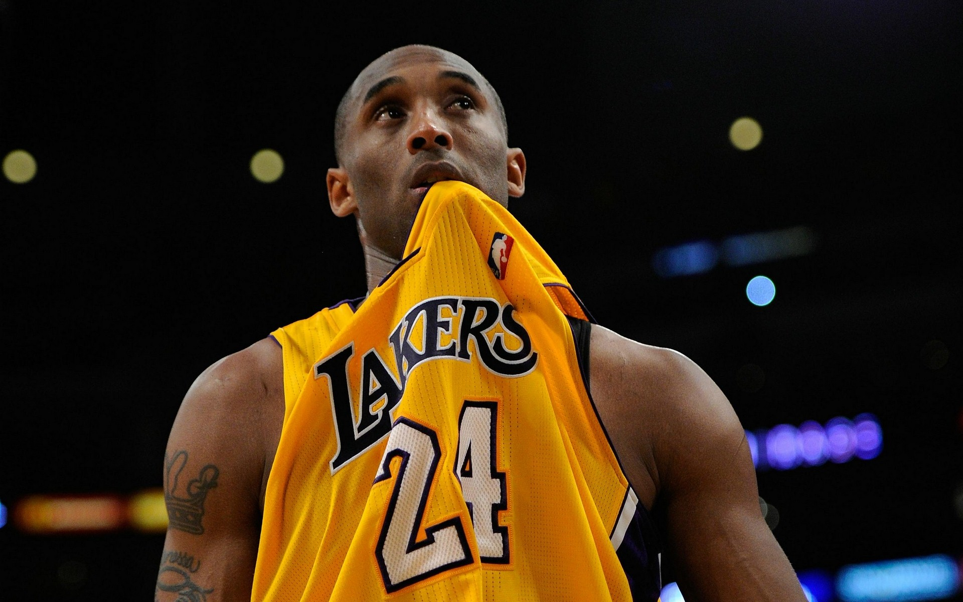 特別是今年 特別是今年