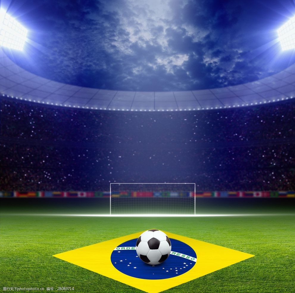 它不仅要求 它不仅要求