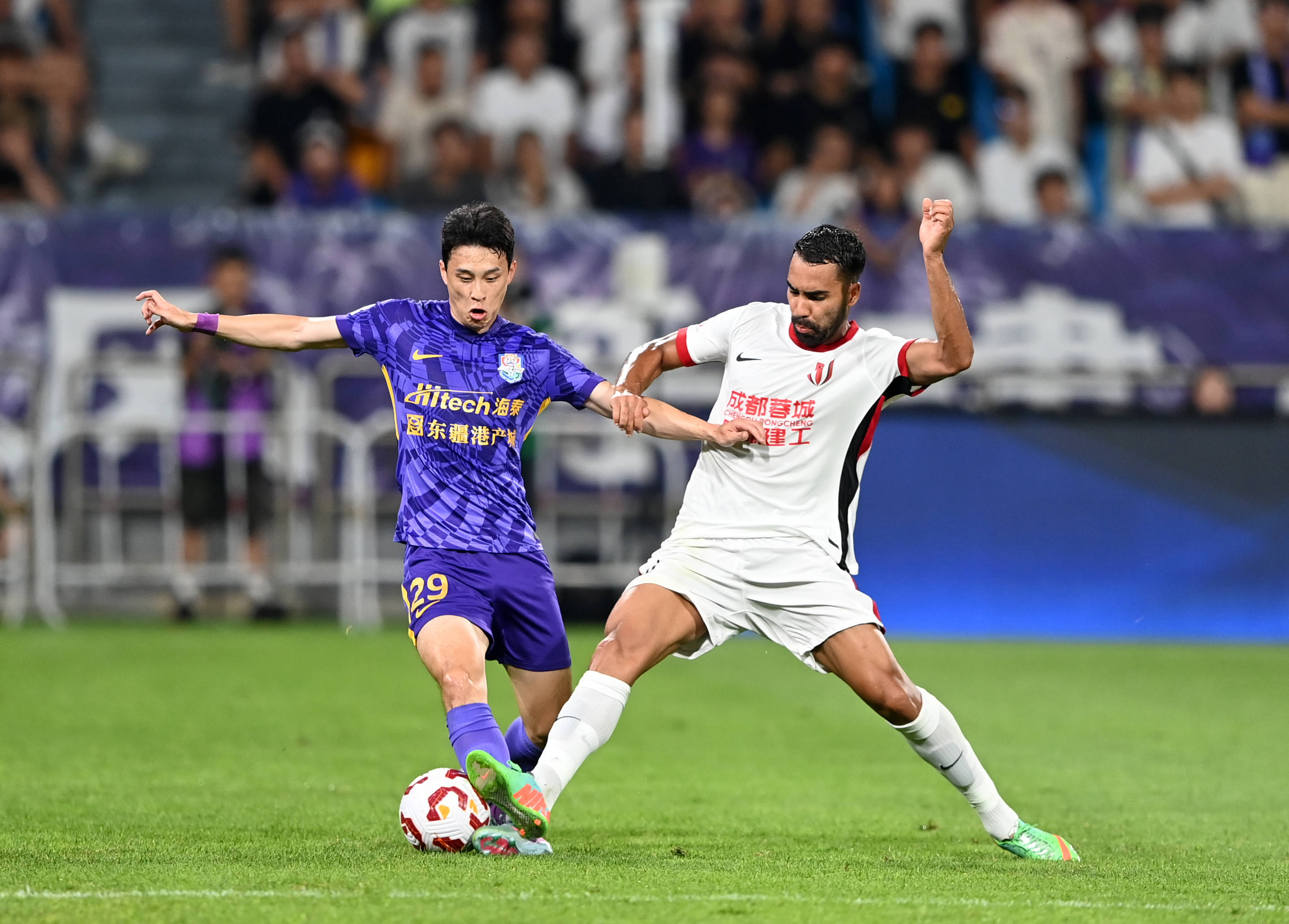 加上近年在 加上近年在