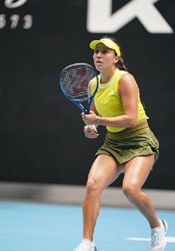 的动力点 的动力点